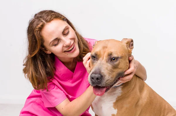 Jovem Mulher Bonita Adulto Conceito Veterinário — Fotografia de Stock