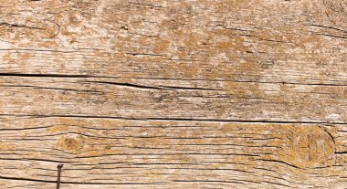 Kopya alanı olarak kullanılacak eski ahşap dokusu veya arkaplan