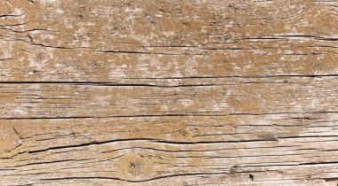 Kopya alanı olarak kullanılacak eski ahşap dokusu veya arkaplan