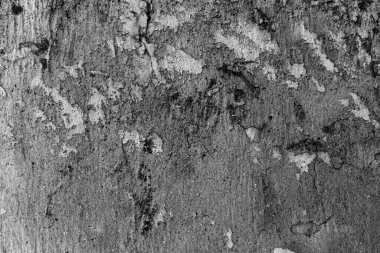 arkaplan olarak kullanılacak boş grunge duvarı veya dokusu ve kopyalama alanı