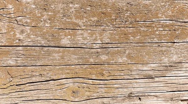 Kopya alanı olarak kullanılacak eski ahşap dokusu veya arkaplan