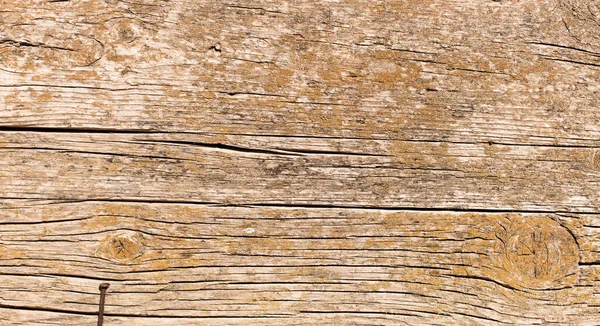 Kopya alanı olarak kullanılacak eski ahşap dokusu veya arkaplan