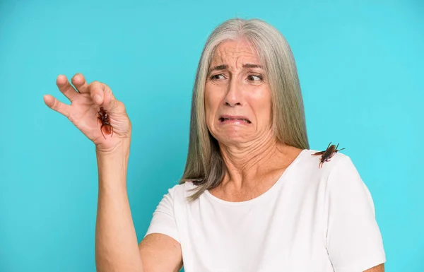 Graue Haare Ältere Hübsche Frau Hält Ein Insekt Mit Ihren — Stockfoto