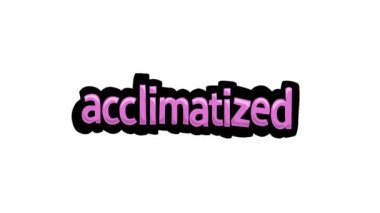 Beyaz ekran animasyon videosu yazıldı.