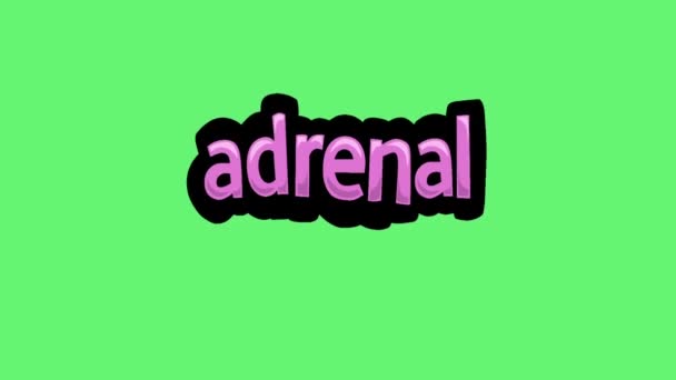 Ecran Verde Animație Video Scris Adrenal — Videoclip de stoc