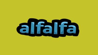 ALFALFA yazılı sarı ekran animasyon videosu