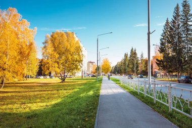 Berdsk şehri, Novosibirsk bölgesi, Rusya 'nın Batı Sibirya' sı - 9 Ekim 2021: Ağaçlı ve sarı yapraklı sonbahar şehri