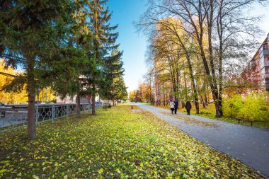 Berdsk şehri, Novosibirsk bölgesi, Rusya 'nın Batı Sibirya' sı - 9 Ekim 2021: Ağaçlı ve sarı yapraklı sonbahar şehri