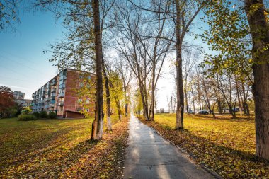 Berdsk şehri, Novosibirsk bölgesi, Rusya 'nın Batı Sibirya' sı - 9 Ekim 2021: Ağaçlı ve sarı yapraklı sonbahar şehri