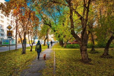 Berdsk şehri, Novosibirsk bölgesi, Rusya 'nın Batı Sibirya' sı - 9 Ekim 2021: Ağaçlı ve sarı yapraklı sonbahar şehri
