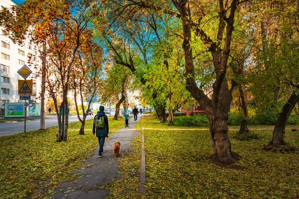 Berdsk şehri, Novosibirsk bölgesi, Rusya 'nın Batı Sibirya' sı - 9 Ekim 2021: Ağaçlı ve sarı yapraklı sonbahar şehri