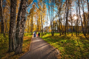 Sonbahar huş ağacı koruluğundan geçen yaya yolu. Berdsk, Novosibirsk bölgesi, Rusya 'nın Batı Sibirya' sı