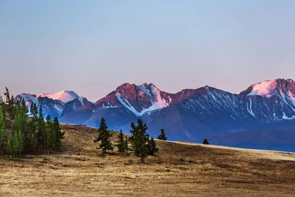 Kuzey Chui Dağları Nın Karla Kaplı Zirveleri Sabah Güneşiyle Aydınlanır — Stok fotoğraf