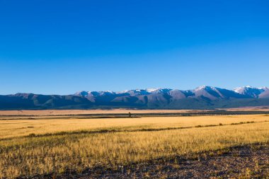 Altai Dağları 'ndaki Kuzey Chui Tepesi eteğindeki Kurai bozkırında. Batı Sibirya 'nın güneyinde, Altai Cumhuriyeti' nin Kosh-Agachsky ilçesi