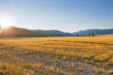 Altai Dağları 'ndaki Kuzey Chui Tepesi eteğindeki Kurai bozkırında. Batı Sibirya 'nın güneyinde, Altai Cumhuriyeti' nin Kosh-Agachsky ilçesi