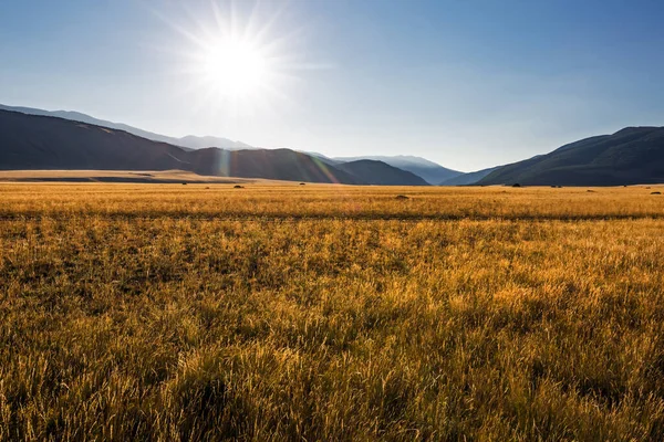 Altai Dağları 'ndaki Kuzey Chui Tepesi eteğindeki Kurai bozkırında. Batı Sibirya 'nın güneyinde, Altai Cumhuriyeti' nin Kosh-Agachsky ilçesi