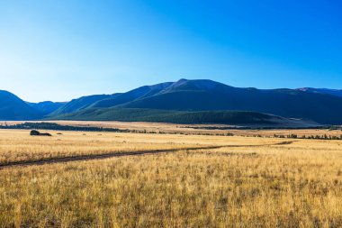Altai Dağları 'ndaki Kuzey Chui Tepesi eteğindeki Kurai bozkırında. Batı Sibirya 'nın güneyinde, Altai Cumhuriyeti' nin Kosh-Agachsky ilçesi
