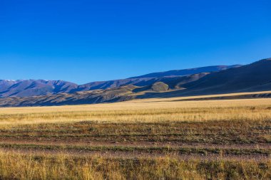 Altai Dağları 'ndaki Kuzey Chui Tepesi eteğindeki Kurai bozkırında. Batı Sibirya 'nın güneyinde, Altai Cumhuriyeti' nin Kosh-Agachsky ilçesi
