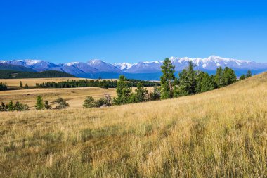Altai Dağları 'ndaki Kuzey Chui Tepesi eteğindeki Kurai bozkırında. Batı Sibirya 'nın güneyinde, Altai Cumhuriyeti' nin Kosh-Agachsky ilçesi