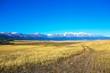 Altai Dağları 'ndaki Kuzey Chui Tepesi eteğindeki Kurai bozkırında. Batı Sibirya 'nın güneyinde, Altai Cumhuriyeti' nin Kosh-Agachsky ilçesi