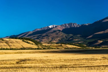 Altai Dağları 'ndaki Kuzey Chui Tepesi eteğindeki Kurai bozkırında. Batı Sibirya 'nın güneyinde, Altai Cumhuriyeti' nin Kosh-Agachsky ilçesi
