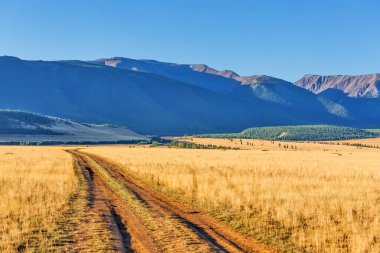 Altai Dağları 'ndaki Kuzey Chui Tepesi eteğindeki Kurai bozkırında. Batı Sibirya 'nın güneyinde, Altai Cumhuriyeti' nin Kosh-Agachsky ilçesi