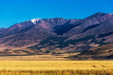Altai Dağları 'ndaki Kuzey Chui Tepesi eteğindeki Kurai bozkırında. Batı Sibirya 'nın güneyinde, Altai Cumhuriyeti' nin Kosh-Agachsky ilçesi