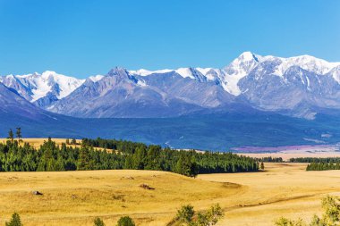 Altai Dağları 'ndaki Kuzey Chui Tepesi eteğindeki Kurai bozkırında. Batı Sibirya 'nın güneyinde, Altai Cumhuriyeti' nin Kosh-Agachsky ilçesi