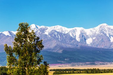 Kurai bozkırından Altai Dağları 'nın kuzey-Chuisky sırtına bakın. Batı Sibirya 'nın güneyinde, Altai Cumhuriyeti' nin Kosh-Agachsky ilçesi