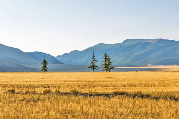 Kurai Steppe Foot North Chui Ridge Altai Mountains Kosh Agachsky — Stock Photo, Image