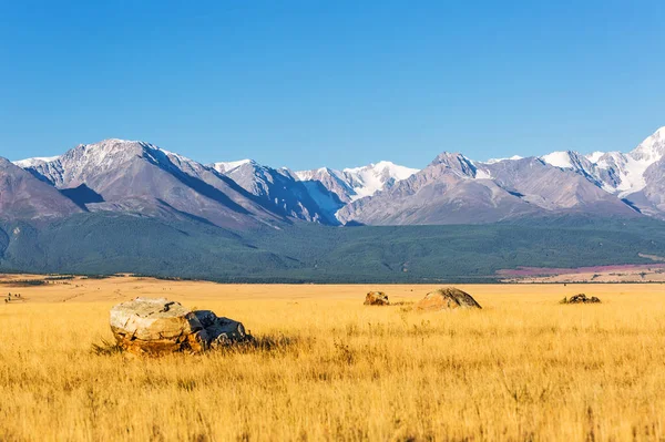 Kurai Sztyeppe Északi Chui Gerinc Lábánál Altai Hegységben Altai Köztársaság — Stock Fotó