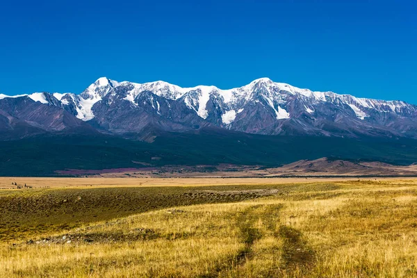Kurai Sztyeppe Északi Chui Gerinc Lábánál Altai Hegységben Altai Köztársaság — Stock Fotó