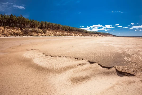 Costa Poco Profunda Del Mar Del Berdsk Región Novosibirsk Siberia — Foto de Stock