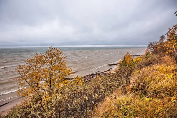 Costa Del Serbatoio Novosibirsk Autunno Berdsk Regione Novosibirsk Siberia Occidentale — Foto Stock