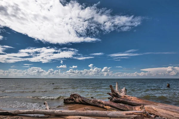 Nuages Dessus Mer Berdsk Région Novossibirsk Sibérie Occidentale Russie — Photo