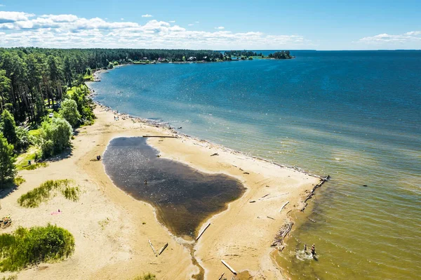 ロシア西シベリア ノヴォシビルスク州Berdsk Novosibirsk地域 2021年7月8日 ノヴォシビルスクOb貯水池の鳥目図 — ストック写真