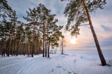 Ob Denizi kıyısında kış günbatımı. Rusya 'nın Batı Sibiryası