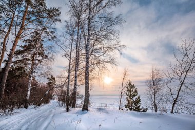 Ob Denizi kıyısında kış günbatımı. Rusya 'nın Batı Sibiryası