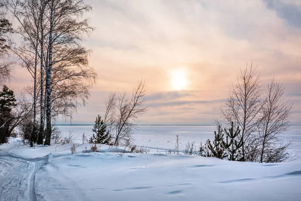Puesta Sol Invierno Costa Del Mar Siberia Occidental Rusia —  Fotos de Stock