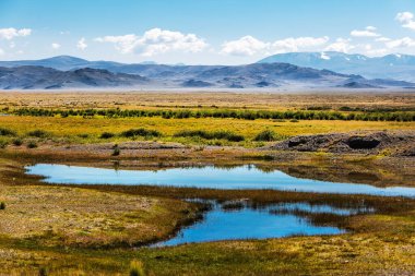 Kosh-Agach köyünün yakınlarındaki Chui steppe ve Altai dağları. Sibirya, Altai Cumhuriyeti 'nin Kosh-Agachsky ilçesi