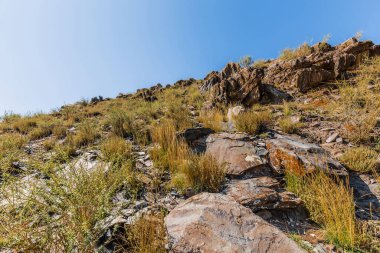 Jalgiztobe Dağı, Kosh-Agach köyünün yakınlarında. Sibirya, Altai Cumhuriyeti 'nin Kosh-Agachsky ilçesi