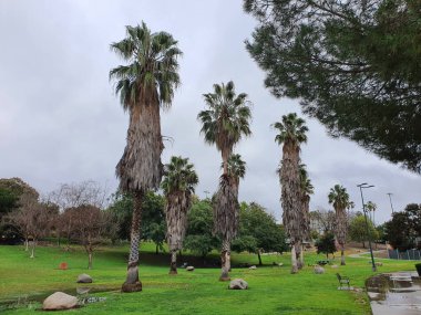 Parkın gölge sağlayan büyük ağaçları ve egzersiz ve dinlenme için geniş bir alanı vardır. Kaliforniya, ABD 'de dinlenme