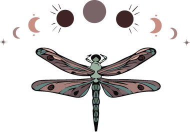 Şirin, güzel bir yusufçuk, sıcak bej tonlar, vektör, png, illüstrasyon, böcekler