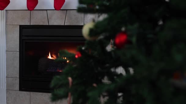 Brennender Erdgas Kamin Mit Weihnachtsbaum Davor Und Darüber Hängenden Urlaubsstrümpfen — Stockvideo
