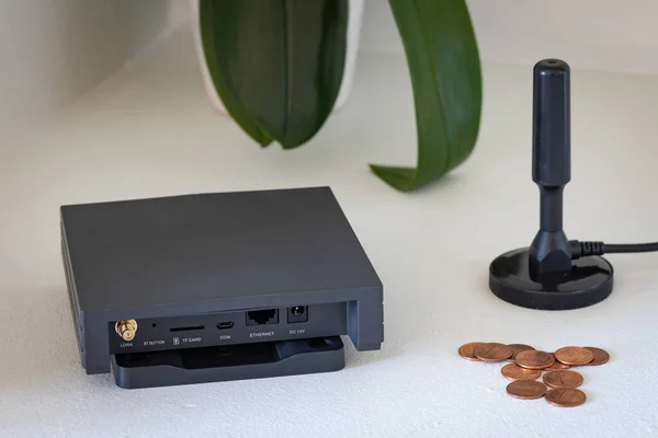 IoT cihazları için kapsama alanı sağlayan radyo dalgalarına bağlı birimlerden oluşan bir ağ oluşturmak için Helyum sıcak nokta kripto para birimi madencisi. Yanına bozuk para yığını ve arka planda bir bitki..