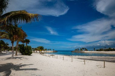 Güneşli bir günde, palmiye ağaçlarıyla çevrili tropikal bir adada küçük bir göl.