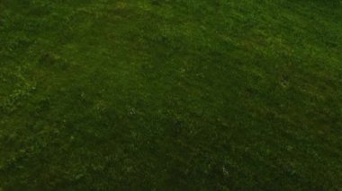 Parlak yeşil tarım alanının üzerinden çalılar ve çalılarla tarladan ayrılmış çok çizgili otobana doğru uçuyorlar.