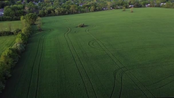 Uitzicht Een Weg Het Bos Landbouwveld Met Landbouwvoertuigen Het Naast — Stockvideo