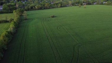 Agricultural field with farm vehicle tracks on it next to the city of Lexington, Kentucky