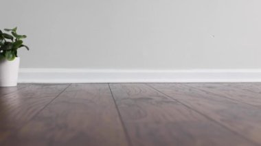 Slowly revealing floral arrangement in glass vase placed as an interior decoration on the floor of an empty room with hardwood floor.